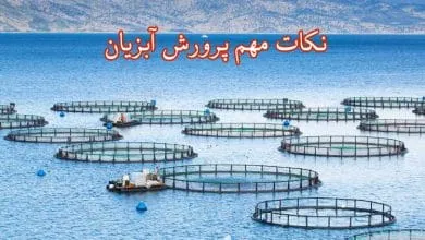 پرورش آبزیان